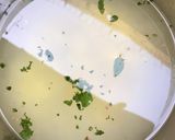 A picture of step 3 of Ginger lemonade.