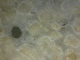 Ñoquis