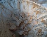Foto del paso 1 de la receta: Pancitos de queso