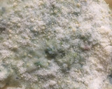 Foto del paso 9 de la receta: SALSA VERDE MUY CREMOSA💚💚(para acompañar todo tipo de pastas)