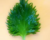 A picture of step 1 of Secrets on Shredding Shiso Leaves.