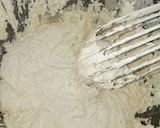 A picture of step 6 of Masa.