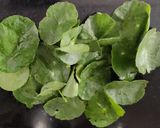 A picture of step 1 of Brahmi  leaves and egg subji.
