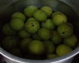 आंवला और हरी मिर्च का अचार (Amla aur hari mirch ka achar recipe in hindi) रेसिपी चरण 1 फोटो