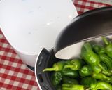 Foto del paso 1 de la receta Pimientos del Padrón perfectos en Cecofry Deluxe