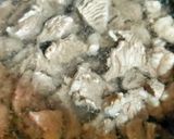 Foto langkah ke 1 dari resep Soto Daging Kuah Bening Boyolali.