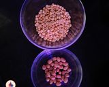 A picture of step 1 of Maharashtrian alu chi patal bhaji.