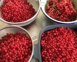 A picture of step 2 of Red Currant Sour Drink.