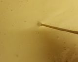 A picture of step 9 of Moist, Authentic, Quality Homemade Castella Cake.