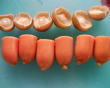 A picture of step 1 of Bento Acorns with shimeji mushrooms and wiener sausages.