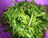 Foto langkah ke 4 dari resep Gulai Paku jo Udang a.k.a gulai pakis.