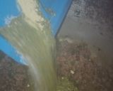 Foto del paso 6 de la receta: Guiso de tallarines