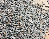 A picture of step 1 of Sesame seeds chutney.