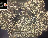 சத்தான கருப்பு உளுந்து கஞ்சி ரெசிபி ஸ்டேப் 1 புகைப்படம்