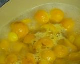 A picture of step 11 of Loquat Compote in 20 Minutes.