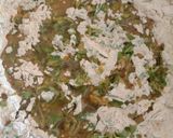 મેથીનાં લસણિયા થેપલા (Methi Garlic Thepla Recipe in Gujarati) રેસીપી સ્ટેપ2ફોટો