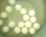 A picture of step 5 of White spongy Rasagulla.