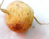 A picture of step 1 of Jicama with chinese mushroom.