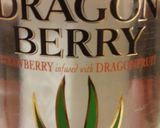 A picture of step 1 of Dragonberry Cocktail.