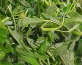 Foto langkah ke 1 dari resep Tumis Kangkung Terasi.
