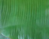 Foto langkah ke 6 dari resep Nasi Bakar Ikan Tongkol / Cakalang Kemangi Enak banget.
