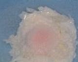 A picture of step 1 of Somen Noodles with an Poached Egg.