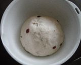 A picture of step 4 of Whole Wheat Berry Pain de Campagne.