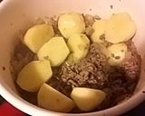 A picture of step 3 of Easy & Delicious! Aubergine and Minced Meat Curry.