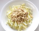 A picture of step 5 of Tofu and Cabbage Salad.