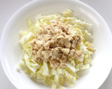 A picture of step 5 of Tofu and Cabbage Salad.