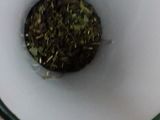 Citromfű tea