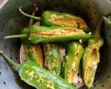 ભરેલા મરચા (Bharela Marcha Recipe In Gujarati) રેસીપી સ્ટેપ2ફોટો