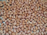 Kacang Telur Renyah