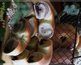 A picture of step 19 of Elegant Chocolate Marbled Bagels.