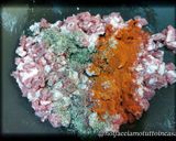 Foto del passaggio 1 della ricetta Ravioli di semola alla paprika, ripieni di cosciotto di maiale al pimenton