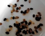 A picture of step 5 of Toasted Watermelon Seeds.