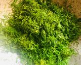 A picture of step 2 of Dill Dal sabji.