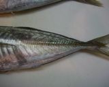 A picture of step 3 of Horse Mackerel Tartare.