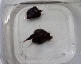 Foto langkah ke 1 dari resep Ayam Palekko Khas Bugis.