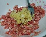 Steamed Ground Pork With Egg recipe step 1 photo