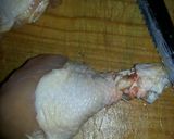 A picture of step 3 of Dave's slammin chicken sausage.