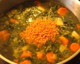 Foto del paso 16 de la receta: Sopa continental y silvestre
