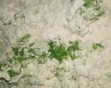 A picture of step 2 of Choliya  coriander Puri recipe or Green Chickpea Poori.