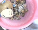 A picture of step 2 of A Surefire Way To De-Sand Manila Clams.