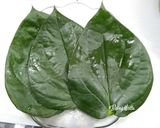 A picture of step 5 of Kolkata paan flavour rasgullas.