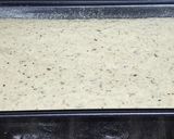 Foto del paso 3 de la receta: 🍞 Pan de harina de trigo sarraceno 🍞, sin gluten, sin amasar, sin psyllium y sin goma xántica!!