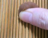 A picture of step 4 of Simple Fresh Pasta No. 13 (Conchiglie).