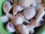 মাশরুম দো-পেঁয়াজা(mushroom do peyaja recipe in Bengali)
