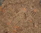 Foto del paso 5 de la receta: Hamburguesas de lenteja