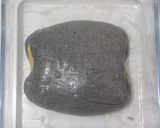Foto langkah ke 15 dari resep Bumblebee Sourdough Bread (88% - Oven Tangkring).